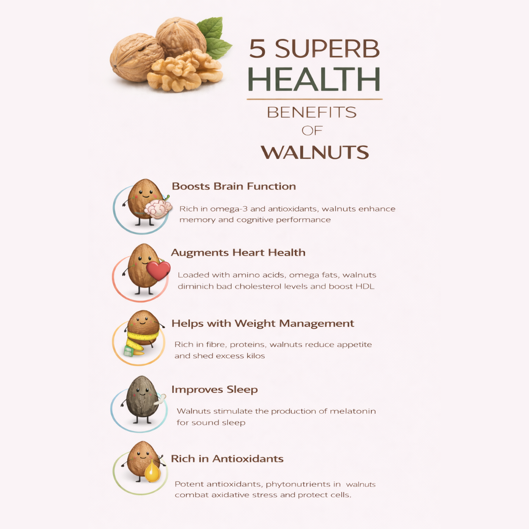 Walnut – Omega Rich Premium Nuts